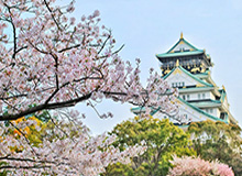 火博体育登录入口-德国疫情日记㊺：耗资1亿，德国5周撤侨24万！